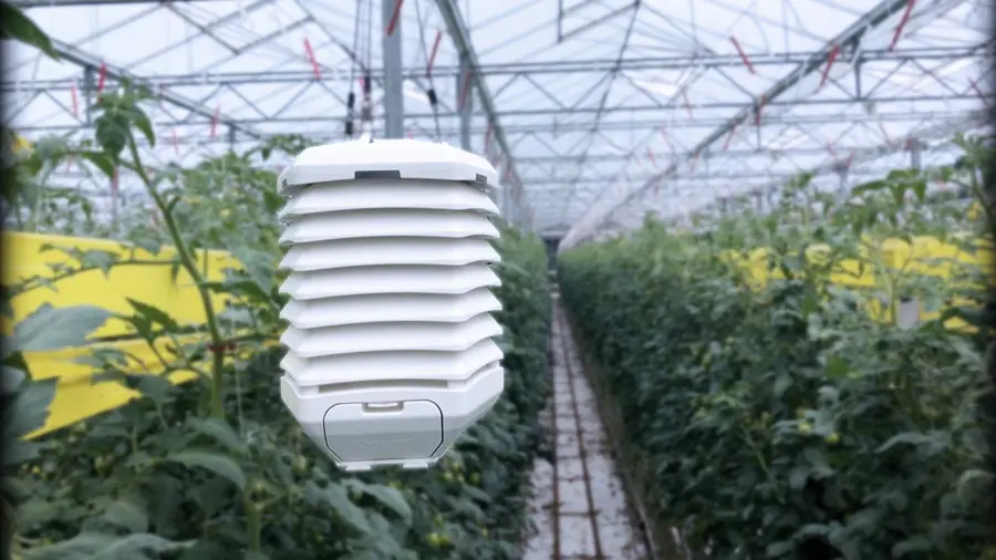 ضرورت تاکید در استفاده از سنسور اندازه‌گیری دما و رطوبت در گلخانه چیست؟